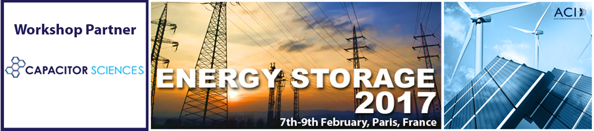 Výsledek obrázku pro energy storage 2017 logo